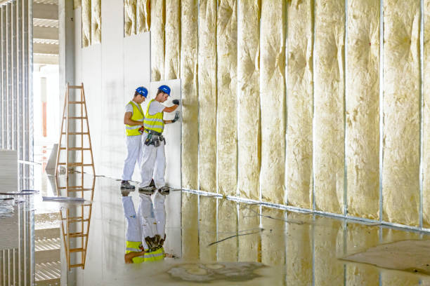 Best Home Insulation Services  in West Carrollton, OH